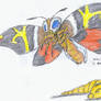 Mothra. Imago and Larva