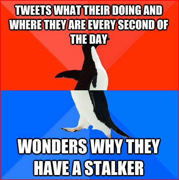 Socially awkward awesome penguin 3