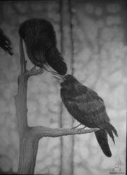 Huginn and Muninn