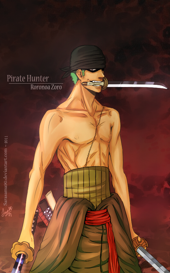 One Piece: Pirate Hunter Zoro