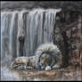 The Lion Sleeps Tonight