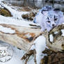 OOAK poseable artdoll Lumi