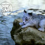 OOAK poseable artdoll Lumi