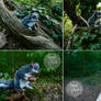 OOAK poseable artdoll Glis Glis