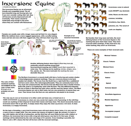 Inversione Equine BreedSheet