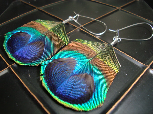 Peacock Eye feather earrings