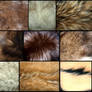 Various Fur Stock - Free Stock photos