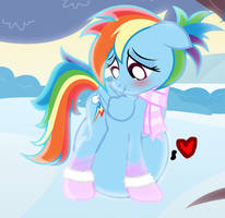 Winter Dashie Noms