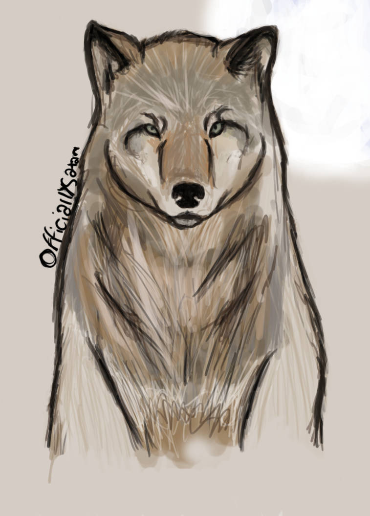Wolf by xbenignus on DeviantArt