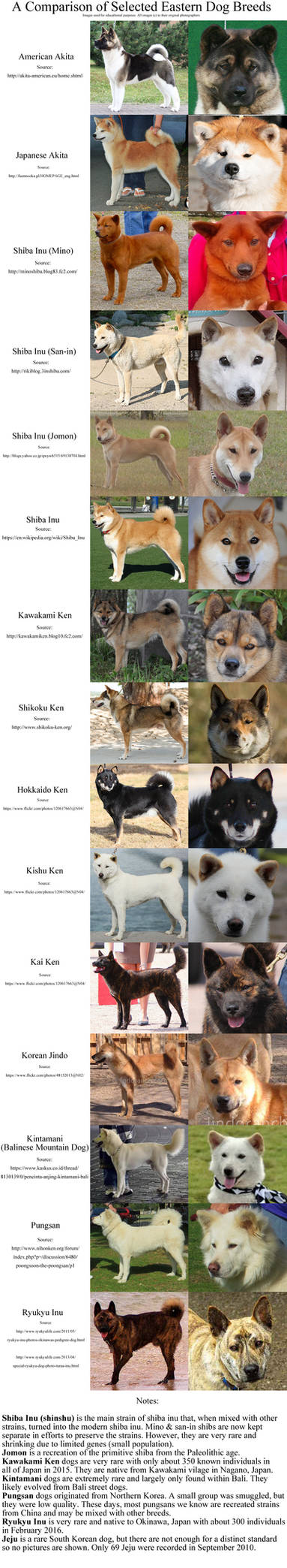 Asian Dog Breed Comparison