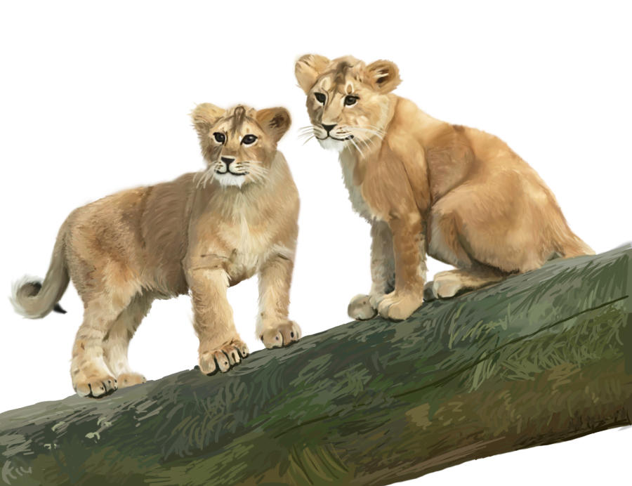 Lion cubs WIP 6