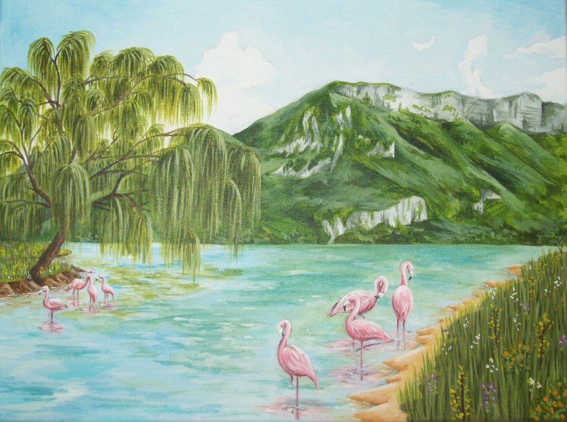 Flamingo Lake