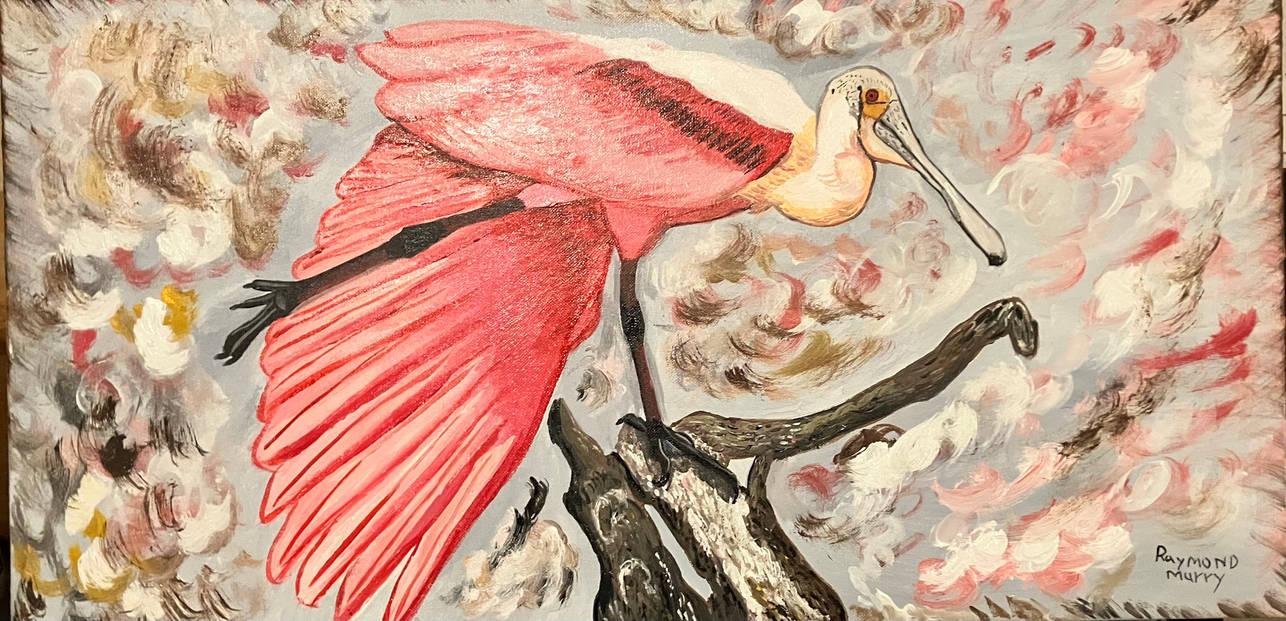 Spoonbill II by rayray2536 on DeviantArt