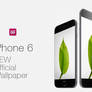 Iphone 6 wallpaper- Leaf