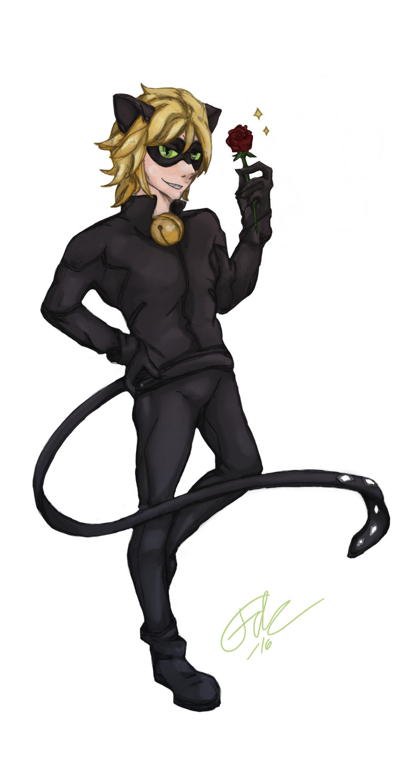 Happy Birthday Chat Noir Style By Thefredricus On Deviantart Happy Birthday Chat Noir Style By Thefredricus On Deviantart