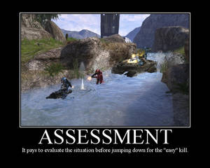 Halo Assesment