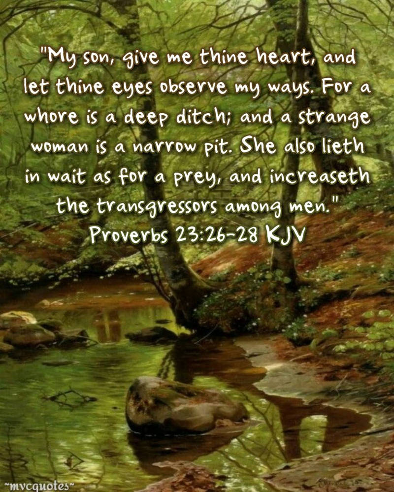Proverbs 23 26 28 By Mvcquotes On DeviantArt proverbs-23-26-28-by-mvcquotes-on-deviantart