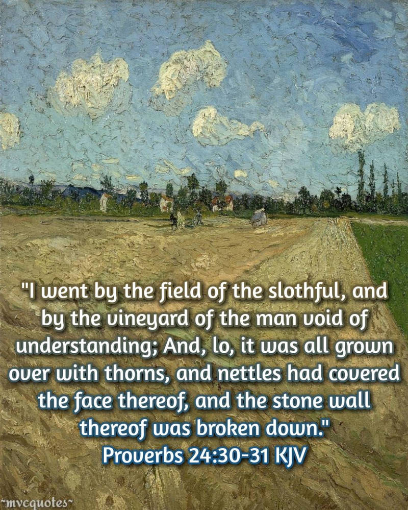 Proverbs 24 30 31 By Mvcquotes On DeviantArt proverbs-24-30-31-by-mvcquotes-on-deviantart