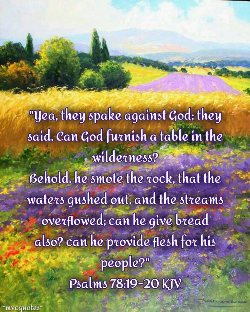 Ps 78 Psalms 78:19-20 by mvcquotes on DeviantArt