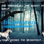 Banner/Manip for bluphoenix on Howrse.com