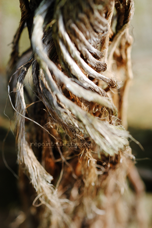 Tattered Ties