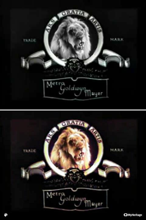 Mgm Color MGM Logo in color by WBBlackOfficial on DeviantArt