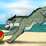 Beach Ball Dragon