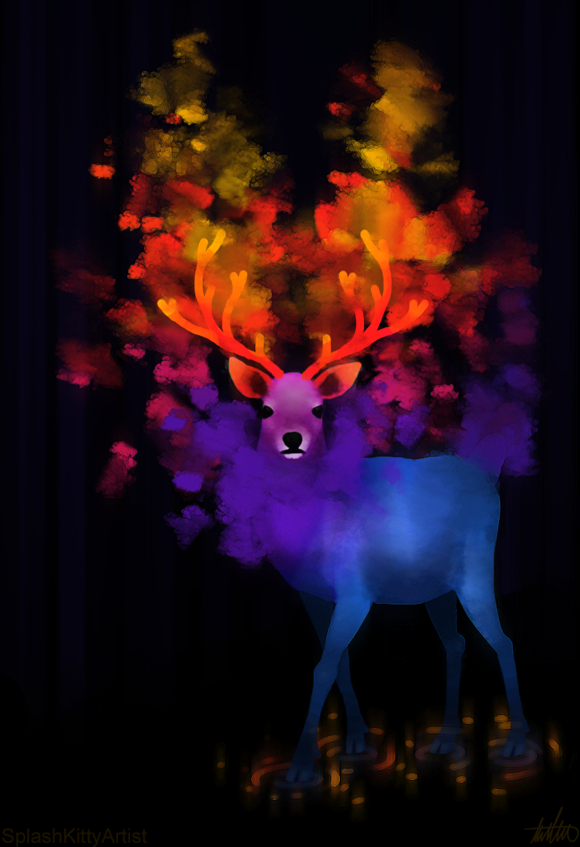 Deer