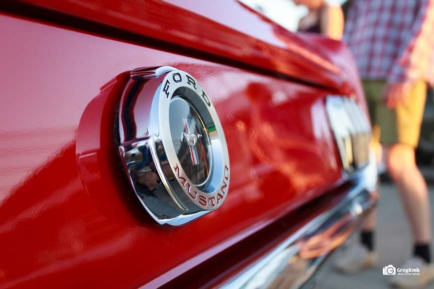 RED Mustang - back detail