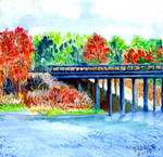 Chenier-lake-dam-road, Nov, West Monroe, La by rigmedic40