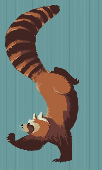 5000 and on - red panda