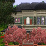 Alice House of Madness - Sims 3