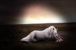 by the light --- by Sigath