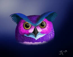 Purple Owl