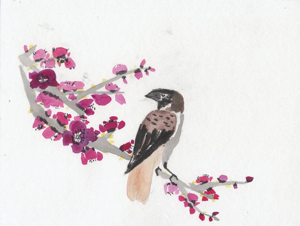 Plum Blossoms with Sparrow
