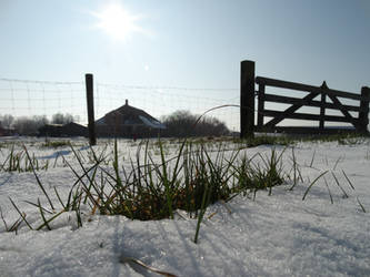 Snowy farmland