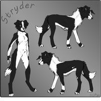 Stryder Reff by Pya