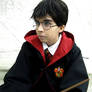 Harry Potter: Young Wizard