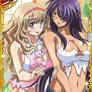 Ikkitousen dual card torn