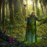 Elf druid