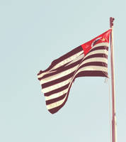 flag.