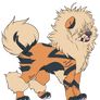 Tiberius The Arcanine