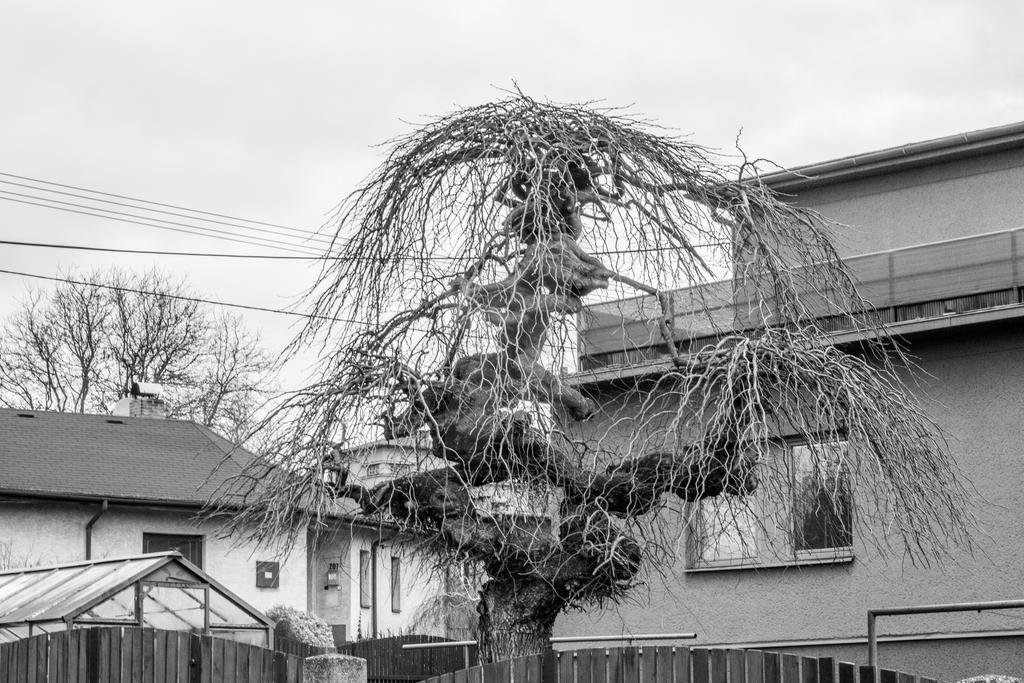 Alien Tree by DK2Assasin2Indy on DeviantArt