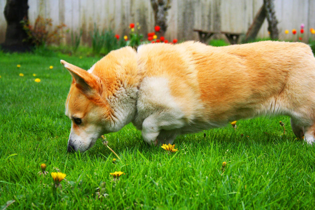 Stop and Smell the Flowers