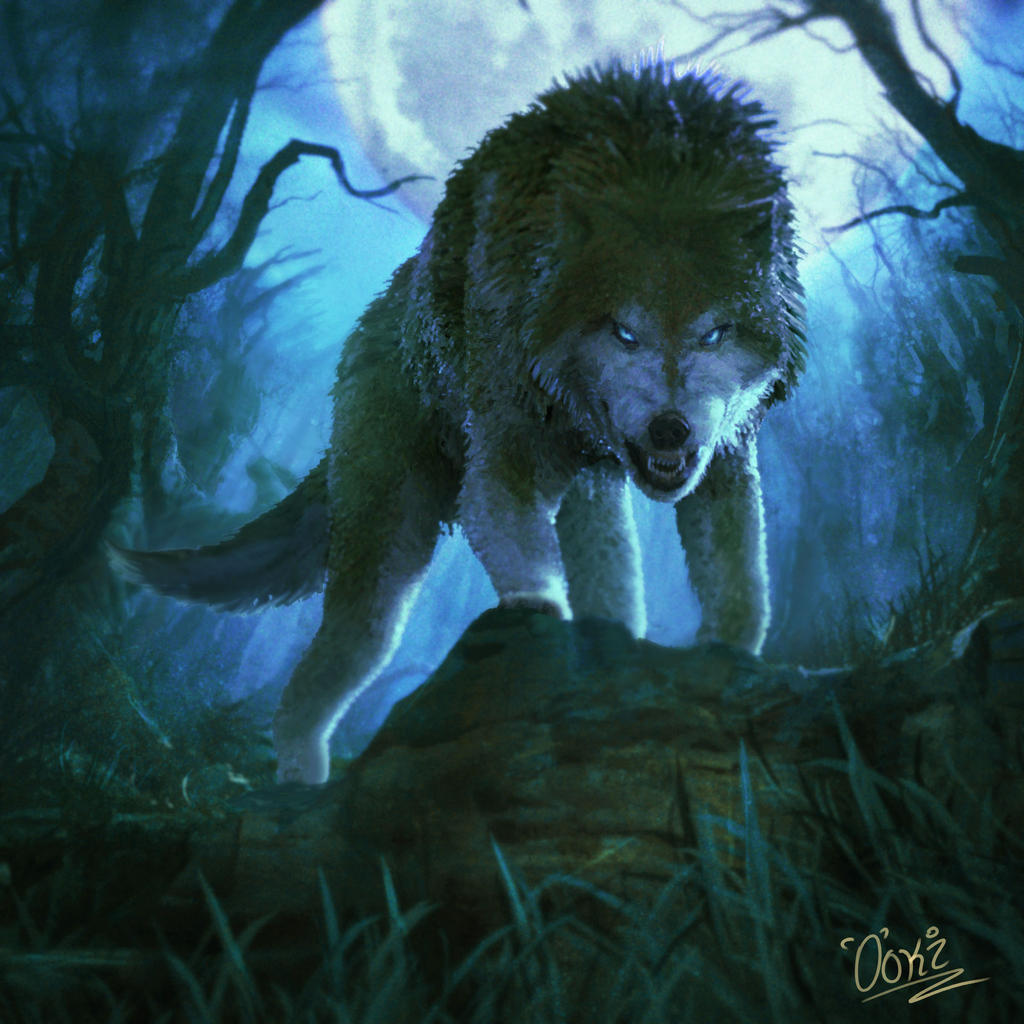 Wolf by 0oki on DeviantArt