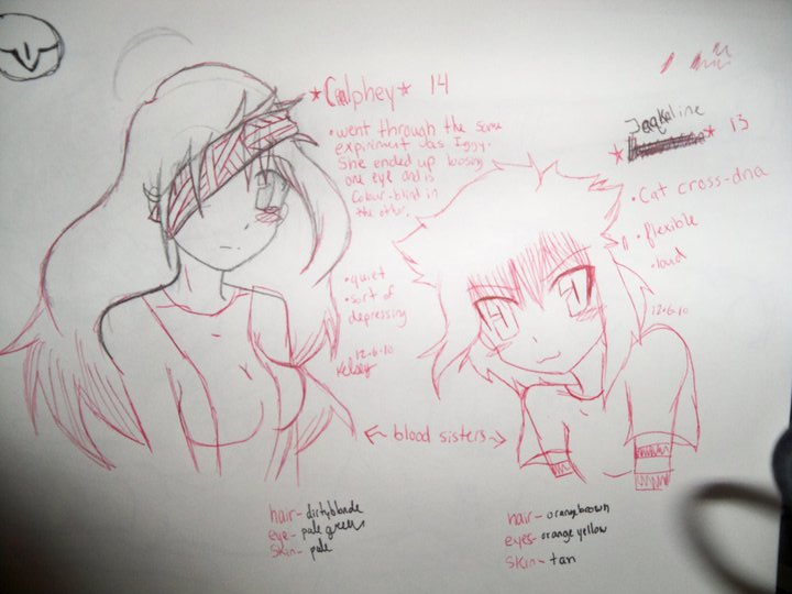 Maximum Ride OCs