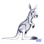 Red Kangaroo Redux