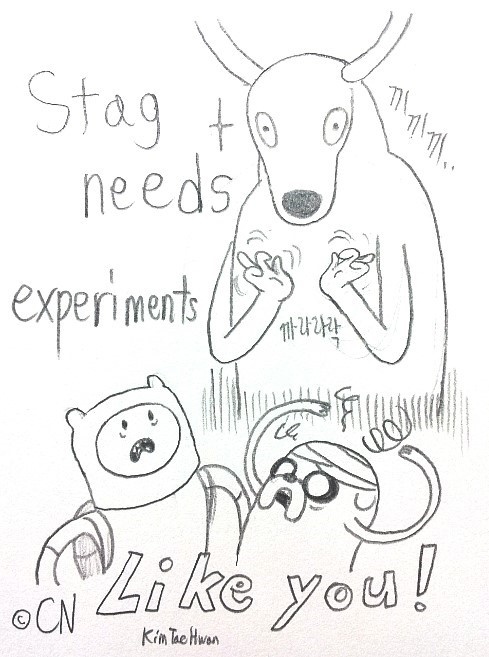 Stag Needs Experiments Like You!