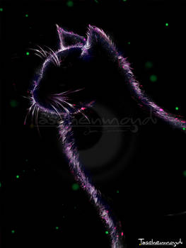 Universe Cat