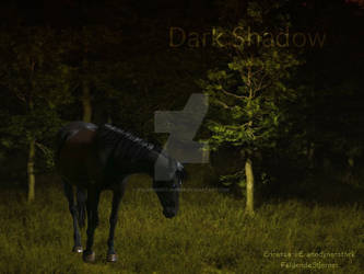 Dark Shadow